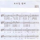 토요일 밤에 - 김세환 이미지