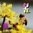 청효 이미지