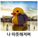 메이컵 아카데미