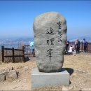 영취산 티스토리