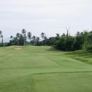 EST Golf Daum카페