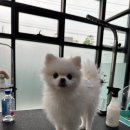 루이앤코코 이미지