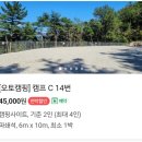 ㈜아이오토코리아 | 고성 대충캠핑장 : 마운틴뷰 오토캠핑장 C14 이용후기