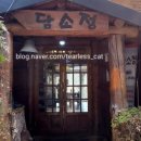 가사문학초등학교 이미지