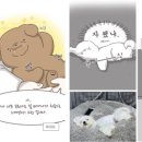 꾸며줄개 이미지