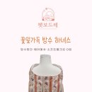 펫보드레 이미지