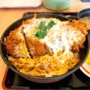 비동 | 텐동 카이센동 가츠동 뜻 먹는법 일본덮밥 종류 텐동 맛집
