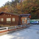 통고산자연휴양림 이미지