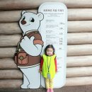 연세 태권도장 이미지