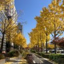 에이앤프리햅 | 에이앤프리햅 강동 / 무릎 회복 운동 전문 센터