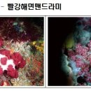 선도리어촌체험휴양마을 이미지