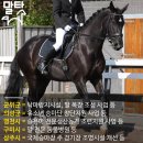 상주동물병원목장 네이버블로그