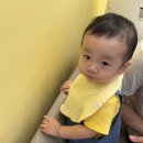 동산동물병원 | 우주랑 첫 놀이동산 에버랜드🎡