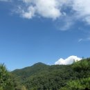 벳소캠프 이미지