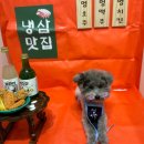 멍균관대 이미지