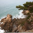 (2011.7.3) 제 30차 정기산행 충남 서산 황금산 (156m) - 해안트래킹, 조별식사 - 이미지