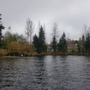 여행치킨 이미지