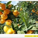 아토농장 이미지