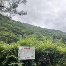 흥정계곡오토캠핑장 이미지