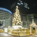 금빛가든 이미지