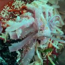 축항펜션 | 물회가 기가막히게 맛있었던 남해 독일마을 근처 맛집 축항횟집에 다녀온 후기