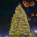 이부바바 이미지