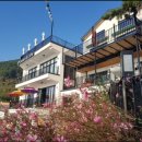 수 갤러리&카페 이미지