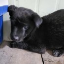 청북새싹길 이미지