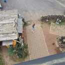 레게스트하우스 이미지