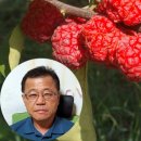 이성재 농장 이미지