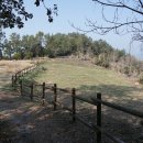 꽃섬투어 이미지