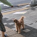 남도(80) | 대전 남도밥상 육회비빔밥 혼낸 후기