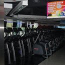 와우휘트니스 이미지