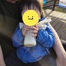 하점면-4 | [인천/강화도] 고려산 진달래 돌 아기랑 꽃구경 초보 등산 백련사 코스 주차 팁