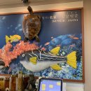 싱글벙글복어석적직영점 이미지