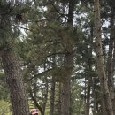 섬 투어 굴업도 Backpacking(1) 이미지