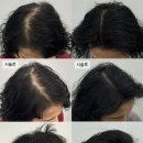 에센셜스튜디오 SMP 이미지