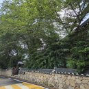 카페 연(CAFE Yeon) | 김포 한옥카페 카페연
