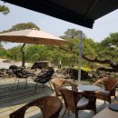 청솔농원 이미지