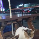 축하합니다🥳 이미지