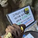 여행고수 | 단양 필수 여행 코스 | 주말 사람 엄청 많은 고수동굴 찐 방문 후기(준비물 및 주의사항)