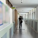 주원약품(주) | 강릉 XX고등학교 학교정기청소, 주 5일보다 주 3일이 더 효율적인 이유