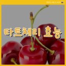 체리 이미지