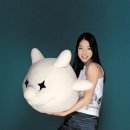 힐링샷
