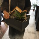 더샾(The#) 이미지