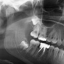 디아트치과의원 이미지