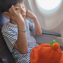 스위스마을114동 | 2025여름제주여행 1-2일차 : 김녕해수욕장 스위스마을카페 함덕해수욕장