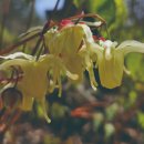 자생식물원 이미지