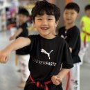 용인대 효 태권도장 이미지