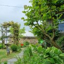 경주한옥펜션 소소가 | 밥주는 경주한옥펜션 소소가 내돈내산 찐후기